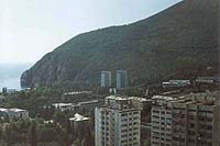 Партенит